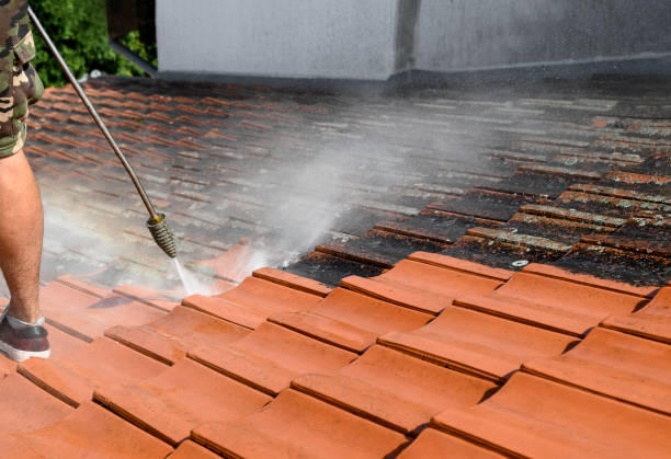 Best Affordable Power Washing  in Brices Creek, NC